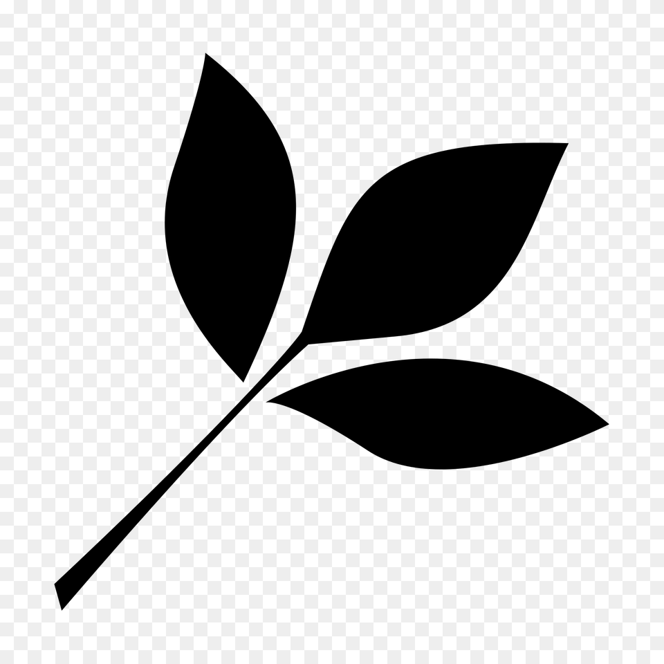 Leaf Icon, Gray Png Image