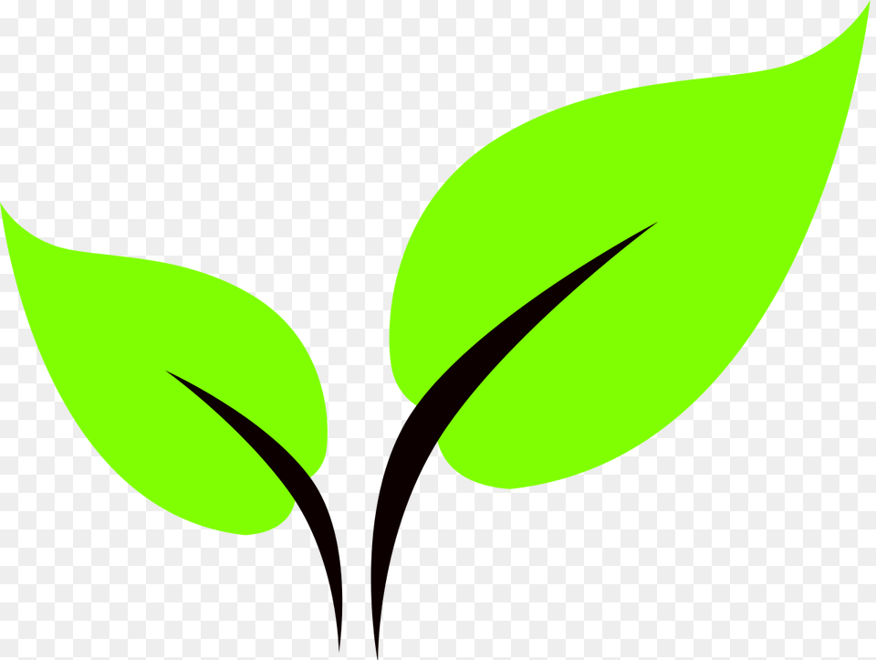 Leaf Icon, Green, Plant Png