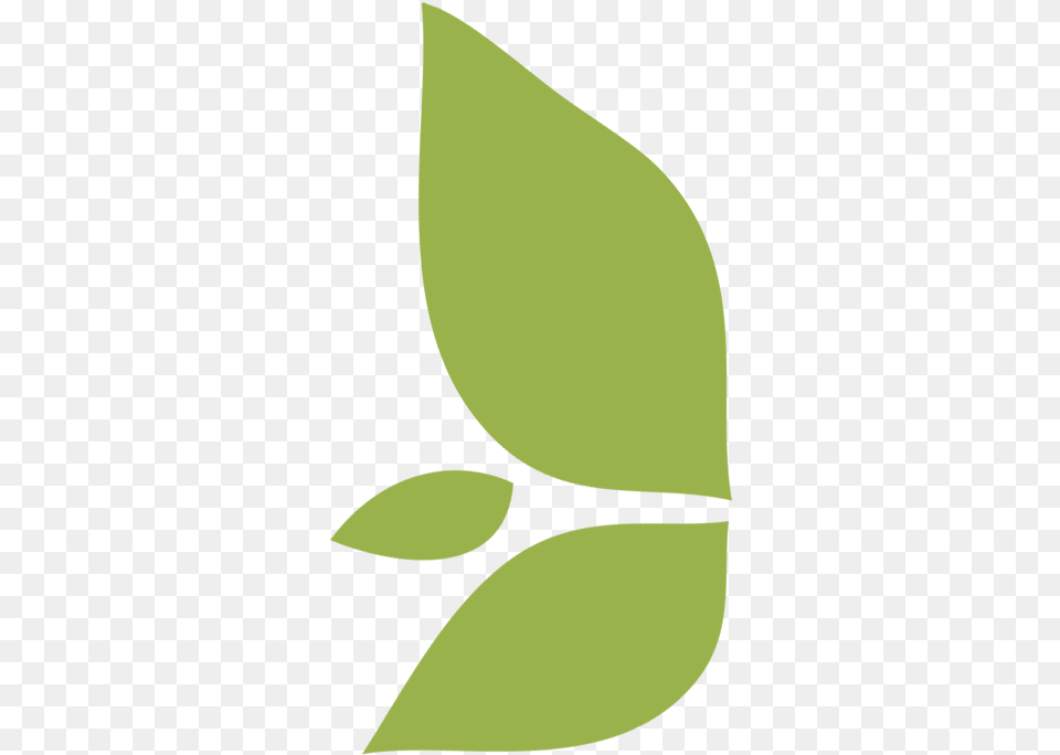 Leaf Icon City Ma Vertical, Plant, Herbal, Herbs Png