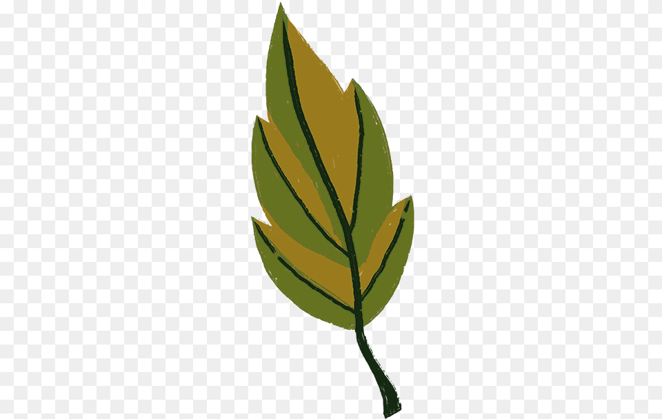 Leaf Icon Thanksgiving, Bud, Flower, Herbal, Herbs Png Image
