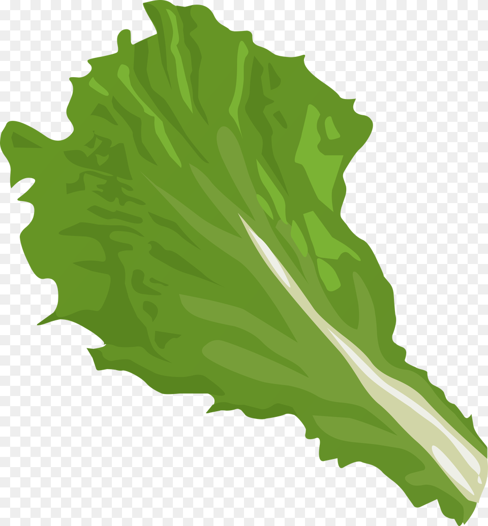 Leaf Icons Free And Downloads This Clipart Lettuce Leaf, Food, Plant, Produce, Vegetable Png Image