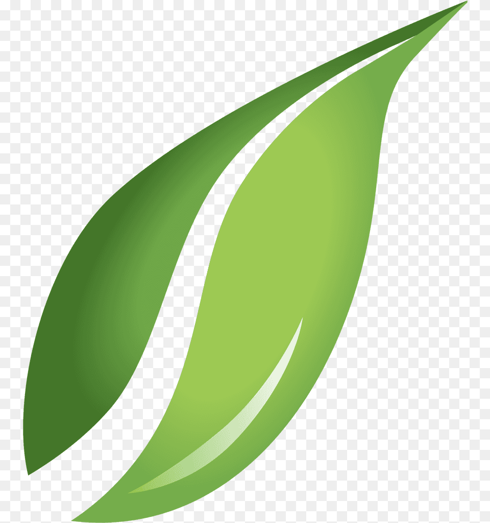 Leaf Images, Green, Plant Png