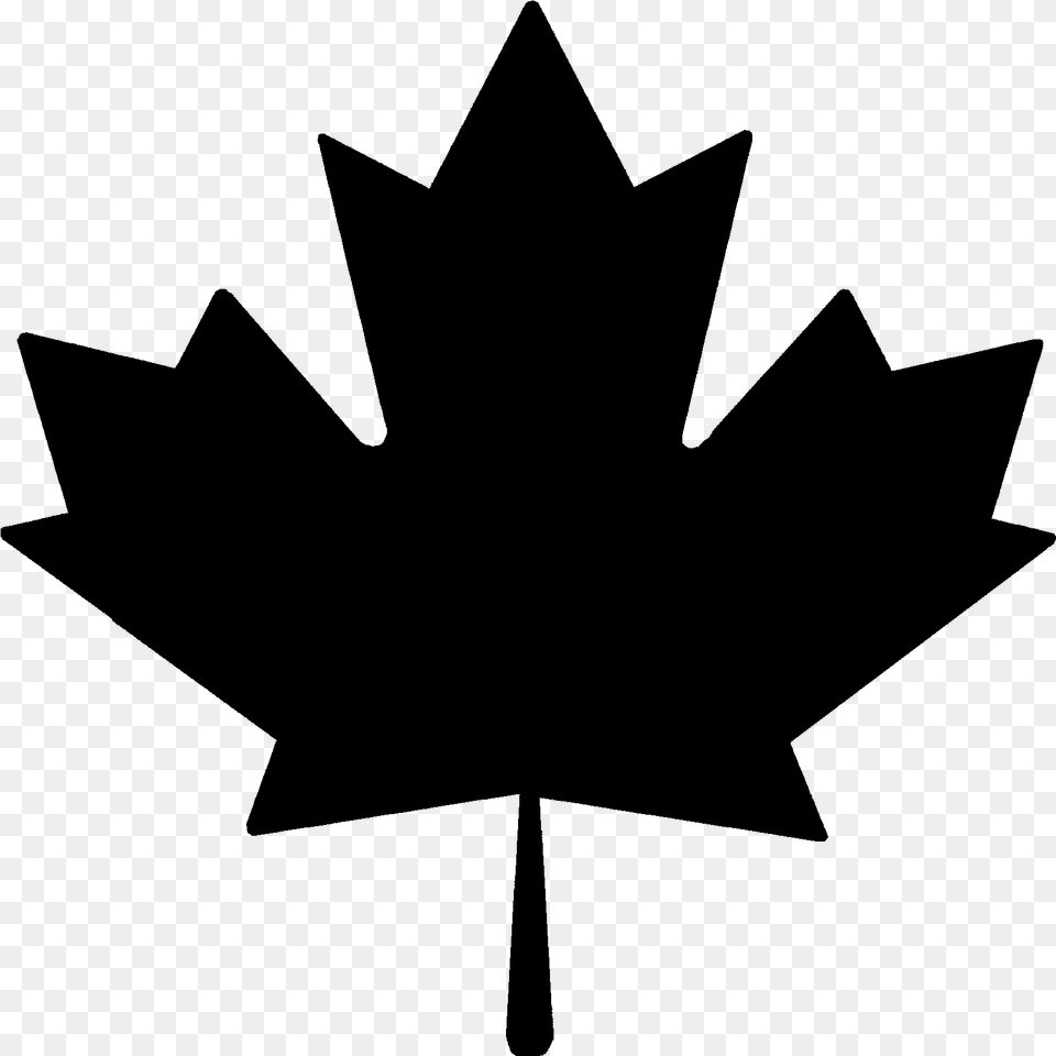 Leaf Images Black And White Canadian Maple Leaf Transparent Background, Lighting, Gray Png Image