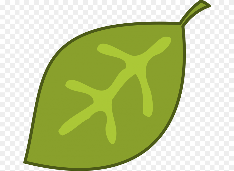 Leaf Jungle Clip Art, Plant, Produce, Food, Fruit Png Image