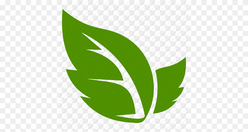 Leaf Leave Icon, Green, Herbal, Herbs, Plant Free Transparent Png