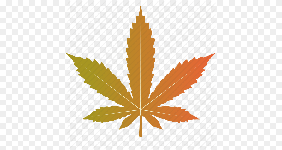 Leaf Leaves Maple Marijuana Nature Tree Icon, Plant Free Transparent Png