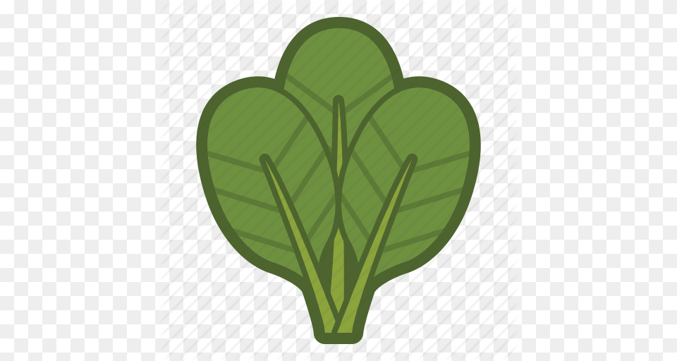 Leaf Leaves Salad Spinach Vegetable Icon, Food, Produce, Leafy Green Vegetable, Plant Free Png