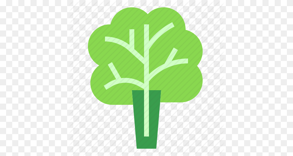 Leaf Lettuce Salad Icon, Food, Plant, Produce, Leafy Green Vegetable Free Transparent Png