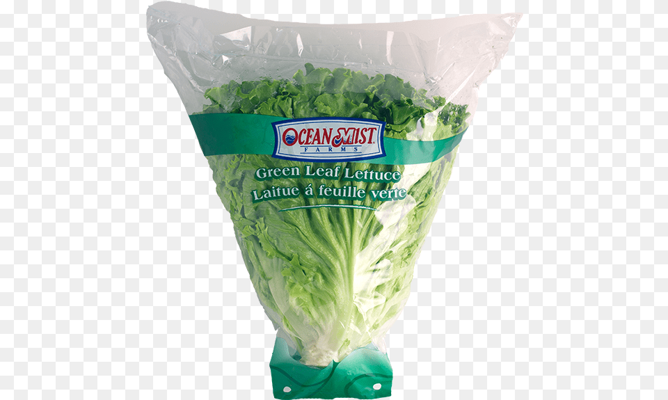 Leaf Lettuce Transparent, Food, Plant, Produce, Vegetable Free Png