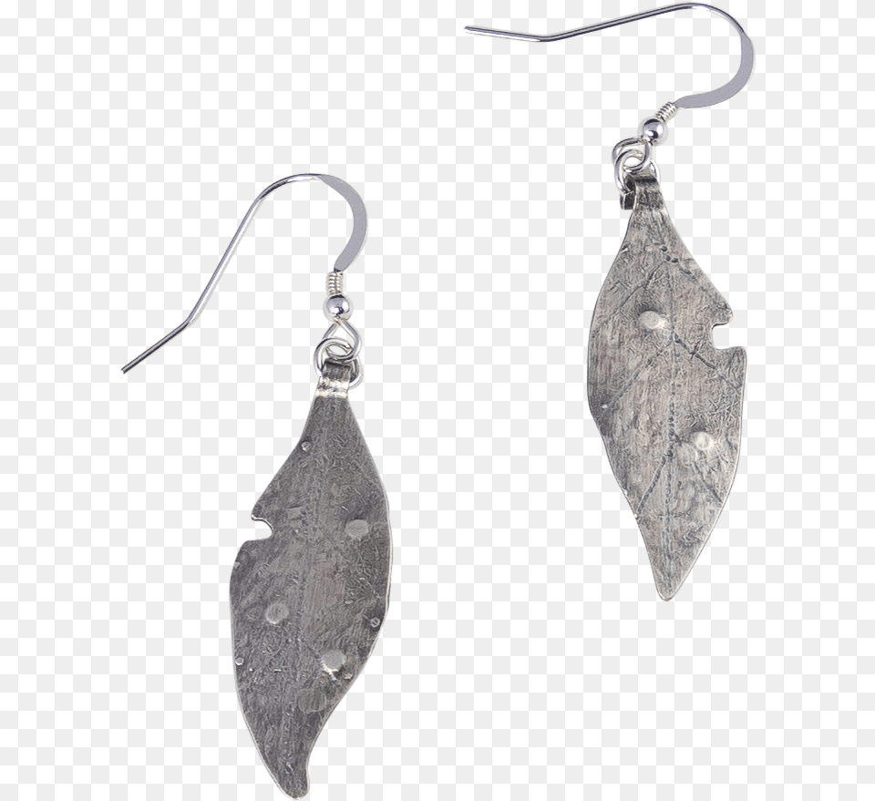 Leaf Litter Earrings Earrings, Accessories, Earring, Jewelry, Silver Free Transparent Png
