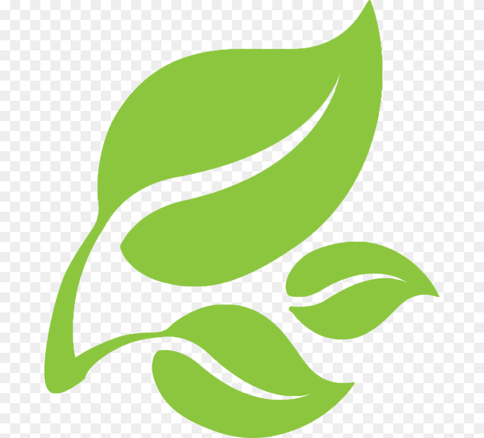 Leaf Logo Transparent Green Leaf Logo, Plant, Animal, Fish, Sea Life Png