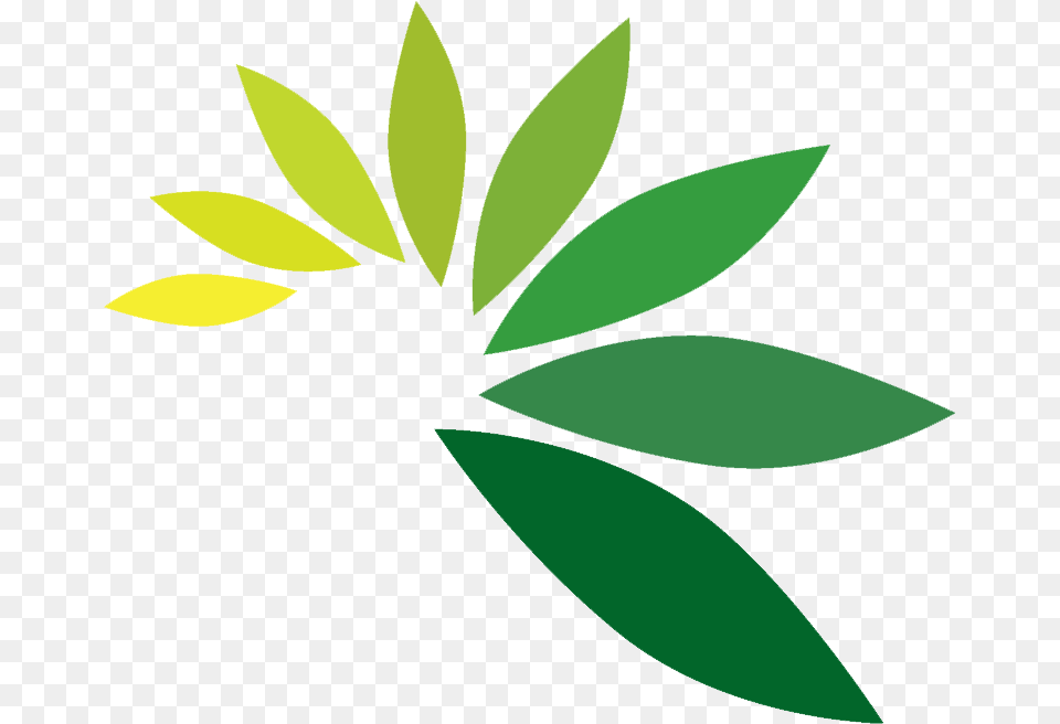 Leaf Logos, Green, Herbal, Herbs, Plant Free Png