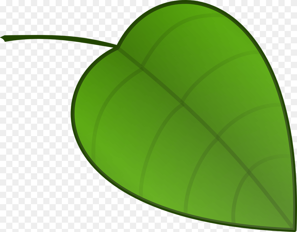 Leaf Nature Nerves Veins Green Plant, Herbal, Herbs Free Transparent Png