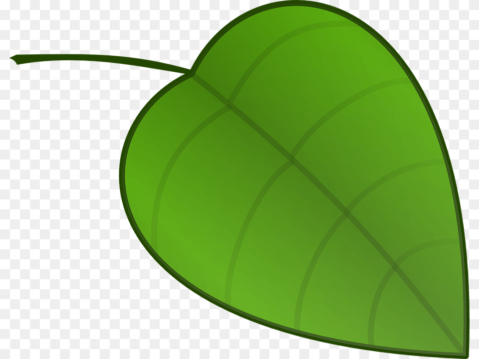 Leaf Nature Nerves Veins Green Leaf Clipart Small, Plant, Disk, Food, Fruit Free Png