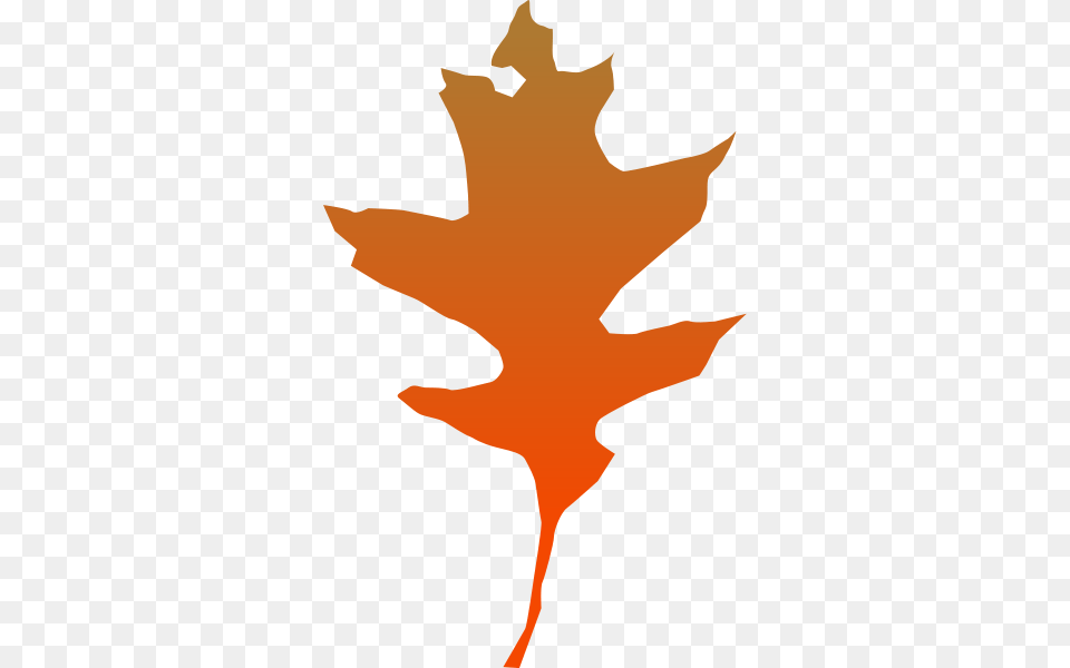 Leaf Oak Clip Arts For Web, Maple Leaf, Plant, Person, Tree Free Png Download
