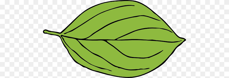 Leaf Of Apple Clipart, Plant, Clothing, Hardhat, Helmet Png Image