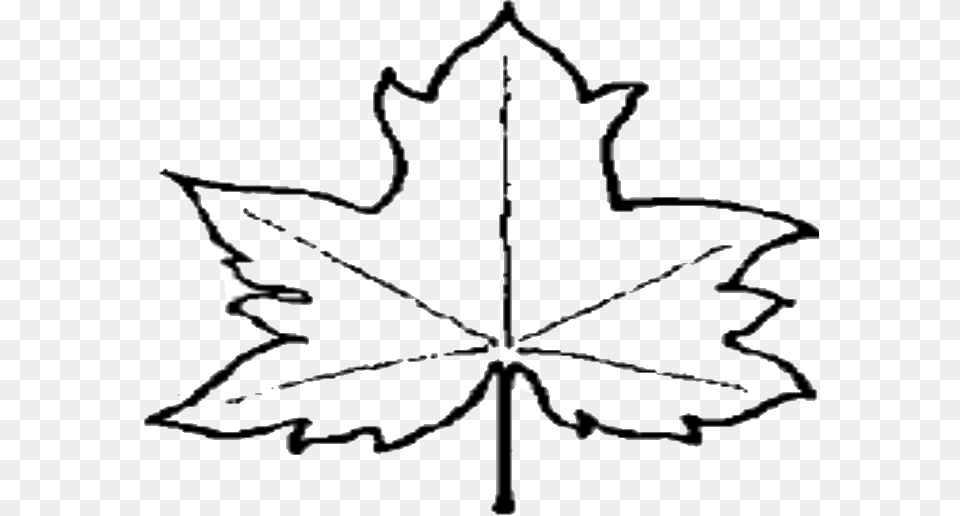 Leaf Outline, Maple Leaf, Plant Free Png