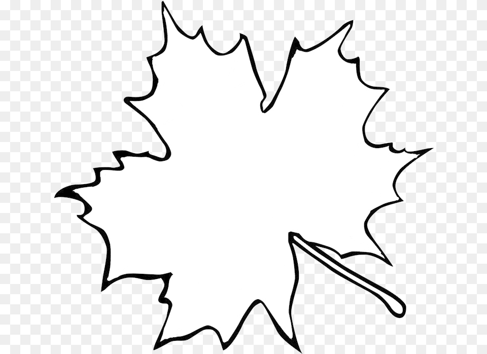 Leaf Outline Maple Clip Art Maple Leaf Outline, Plant, Maple Leaf, Adult, Bride Free Transparent Png