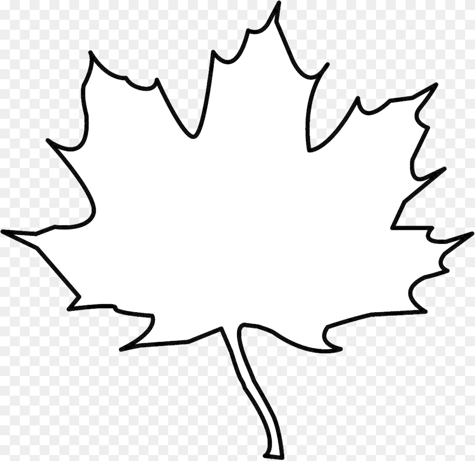 Leaf Outline Tree Clipart Cliparts Images On Transparent Transparent Background Leaf Clipart Black And White, Plant, Maple Leaf, Adult, Bride Free Png Download