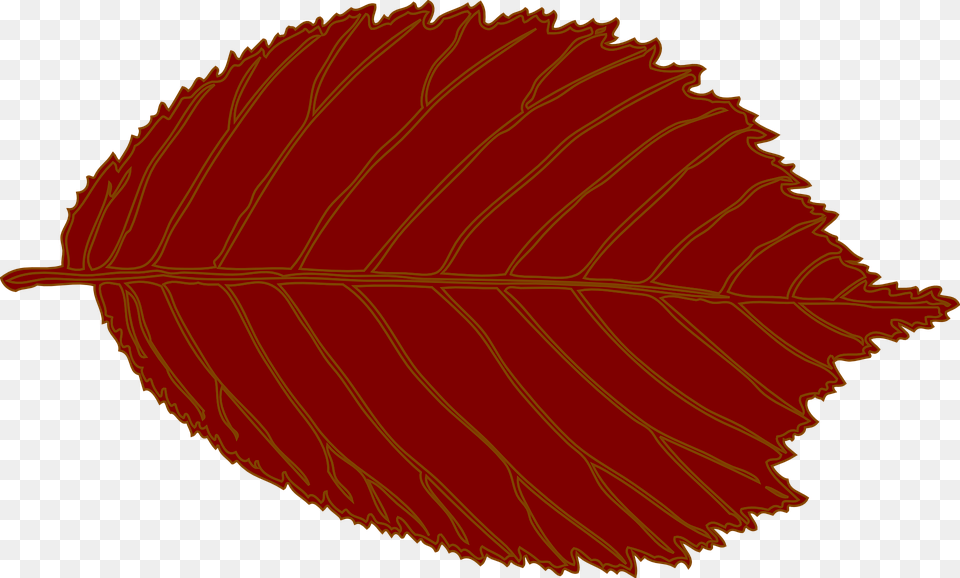 Leaf Oval Hazelnut Autumn Shapes Single Red Brown Leaf Clip Art, Plant, Tree Png Image