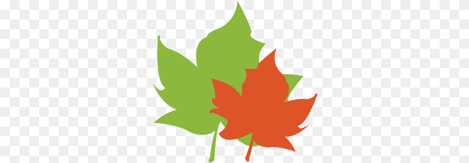 Leaf Pack Network Is An Initiative Of Stroud Water Maple Leaf, Maple Leaf, Plant, Tree, Baby Free Png