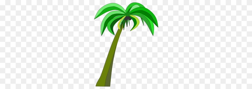 Leaf Palm Trees Drawing Plants, Palm Tree, Plant, Tree Png