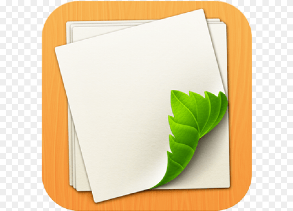 Leaf Paper, Plant, White Board Png Image