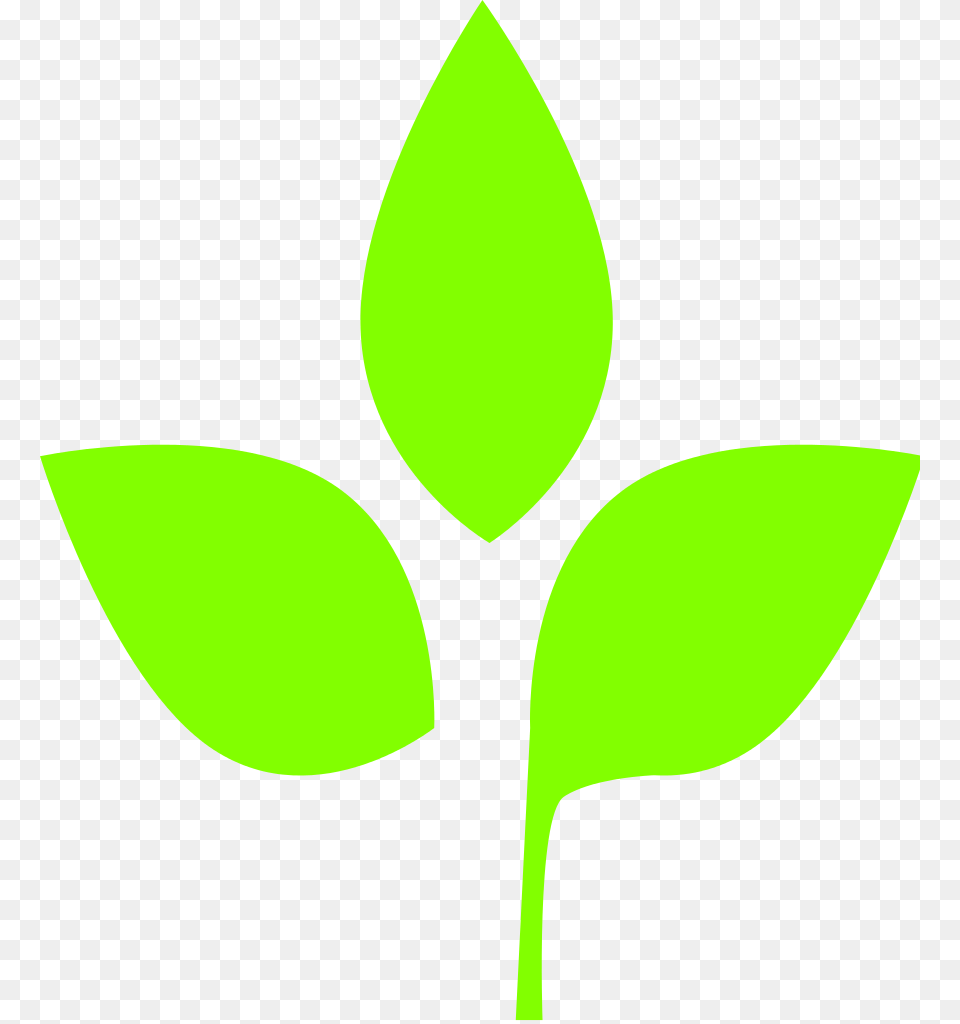 Leaf Pictures, Plant, Green, Herbal, Herbs Free Png