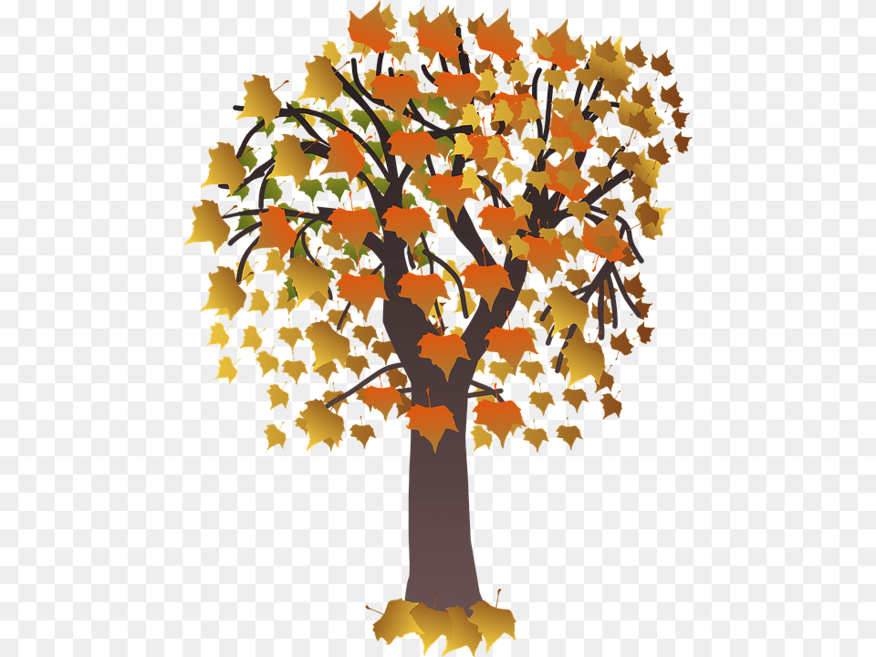 Leaf Pile, Maple, Plant, Tree, Oak Png