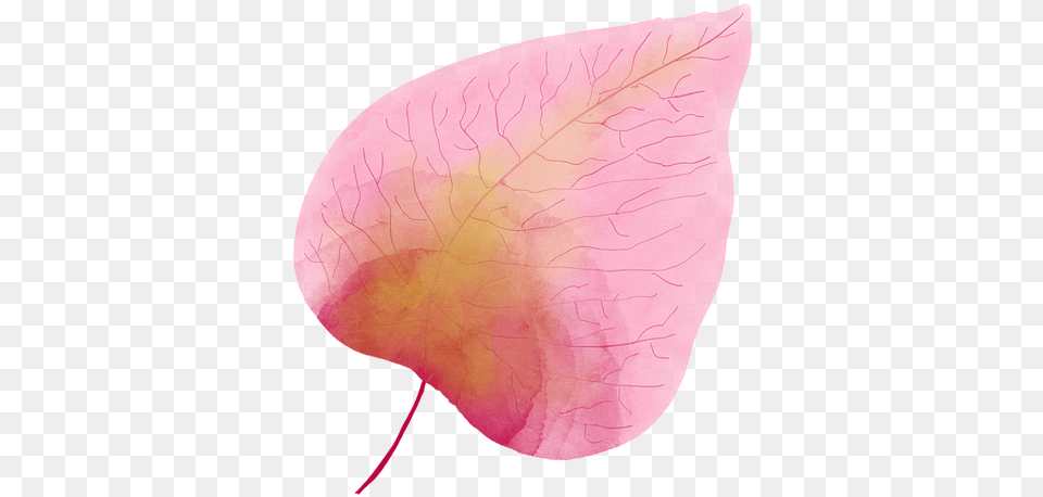 Leaf Pink Watercolor Watercolour Hojas Acuarela Rosa, Flower, Petal, Plant Free Transparent Png