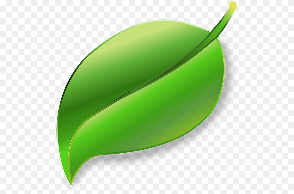 Leaf Plant Ecology Environment Leaf Transparent, Green, Food, Fruit, Produce Free Png Download