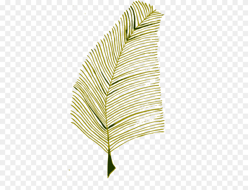 Leaf Plant Twig Calligraphy Computer Icons Clip Art, Fern, Animal, Bird Png