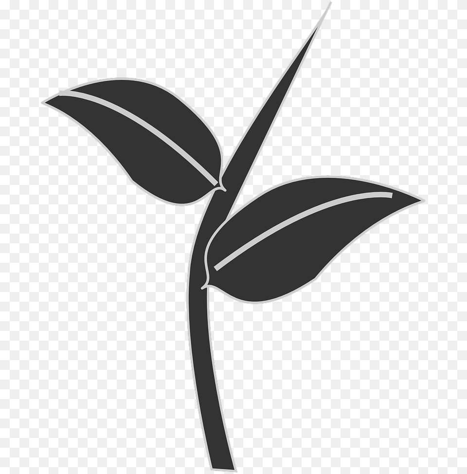 Leaf Silhouette, Plant, Flower Png Image