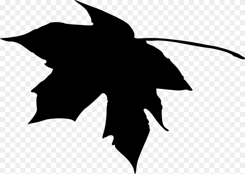 Leaf Silhouette, Plant, Person, Maple Leaf Free Png