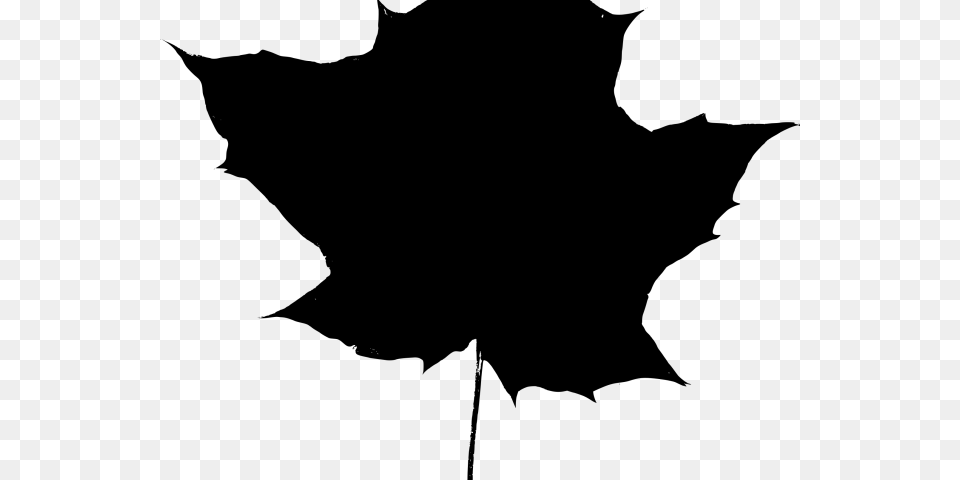 Leaf Silhouette Oak Leaf Silhouette, Gray Free Png