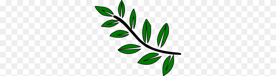 Leaf Stem Clip Art, Pattern, Herbs, Herbal, Green Png