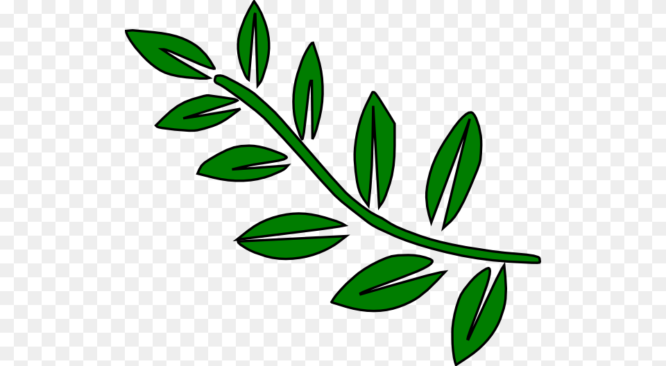 Leaf Stem Clip Arts, Herbal, Plant, Herbs, Pattern Free Png