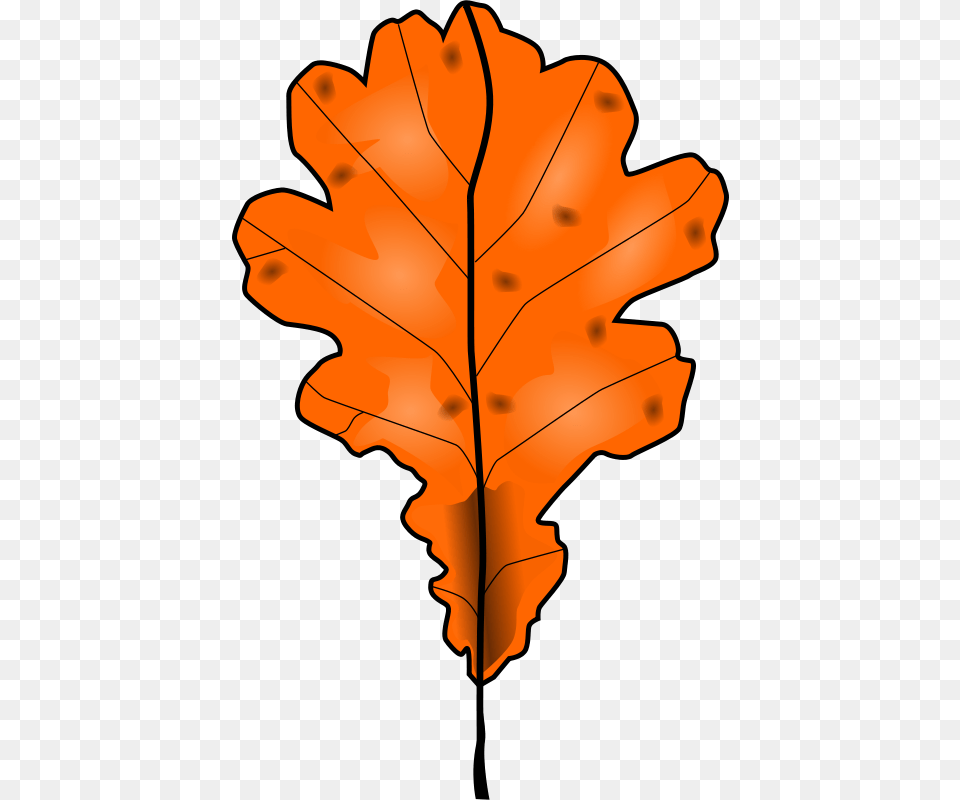 Leaf Stock Clipart, Plant, Tree, Maple Leaf, Dynamite Free Png Download