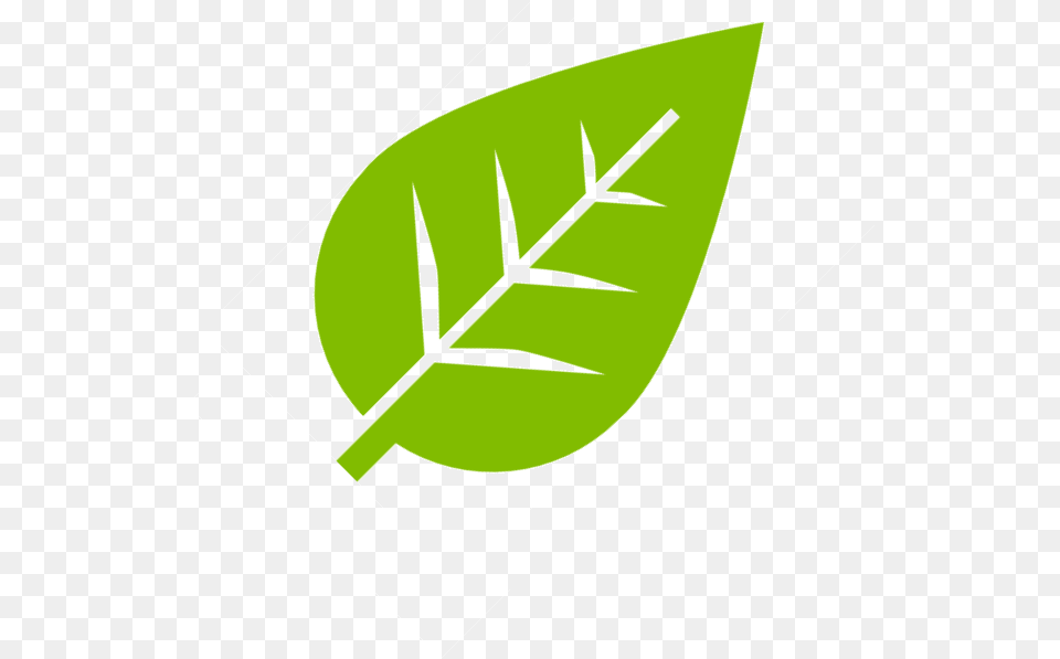 Leaf Sustainability Green, Plant, Animal, Fish, Sea Life Png Image