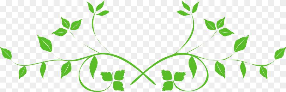 Leaf Swirl Background Transparent Transparent Background Leaf, Green, Plant, Art, Graphics Free Png