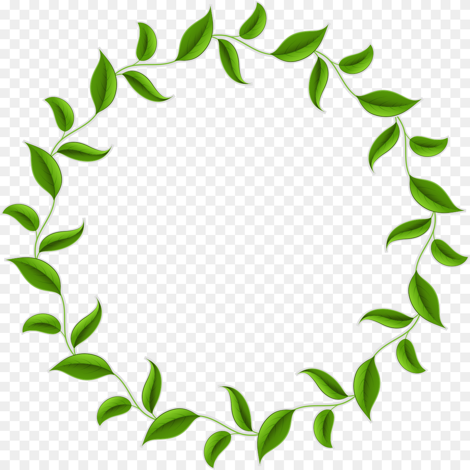 Leaf Tea Wreath Vector Green Circle Border Clipart Leaf Circle Border, Plant, Pattern, Herbal, Herbs Free Png Download
