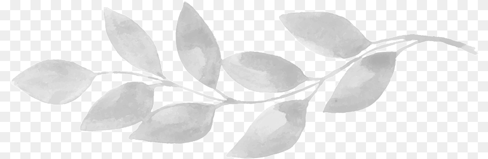 Leaf Tree, Plant, Flower, Petal, Art Free Png