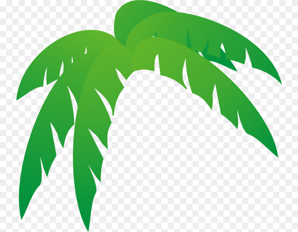Leaf Tree Palm Branch Frond Rhapis Excelsa, Plant, Green, Electronics, Hardware Png Image