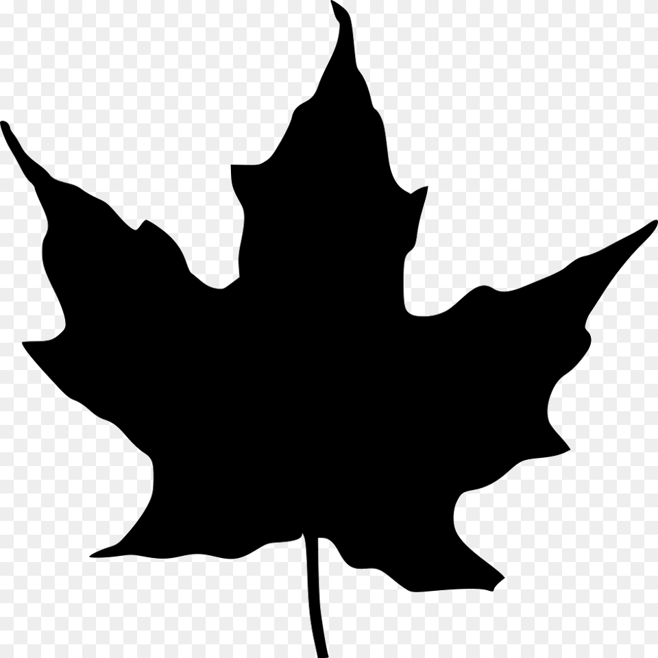 Leaf Vector, Plant, Silhouette, Maple Leaf, Animal Free Png Download