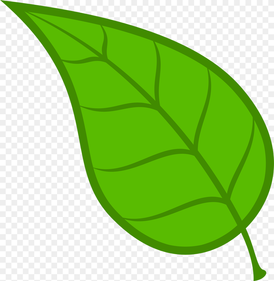 Leaf Vector Clipart Library Clipart Leaf, Plant, Astronomy, Moon, Nature Free Png Download