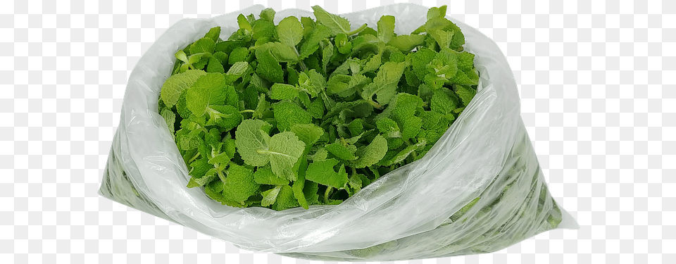 Leaf Vegetable, Herbs, Mint, Plant, Bag Free Png Download