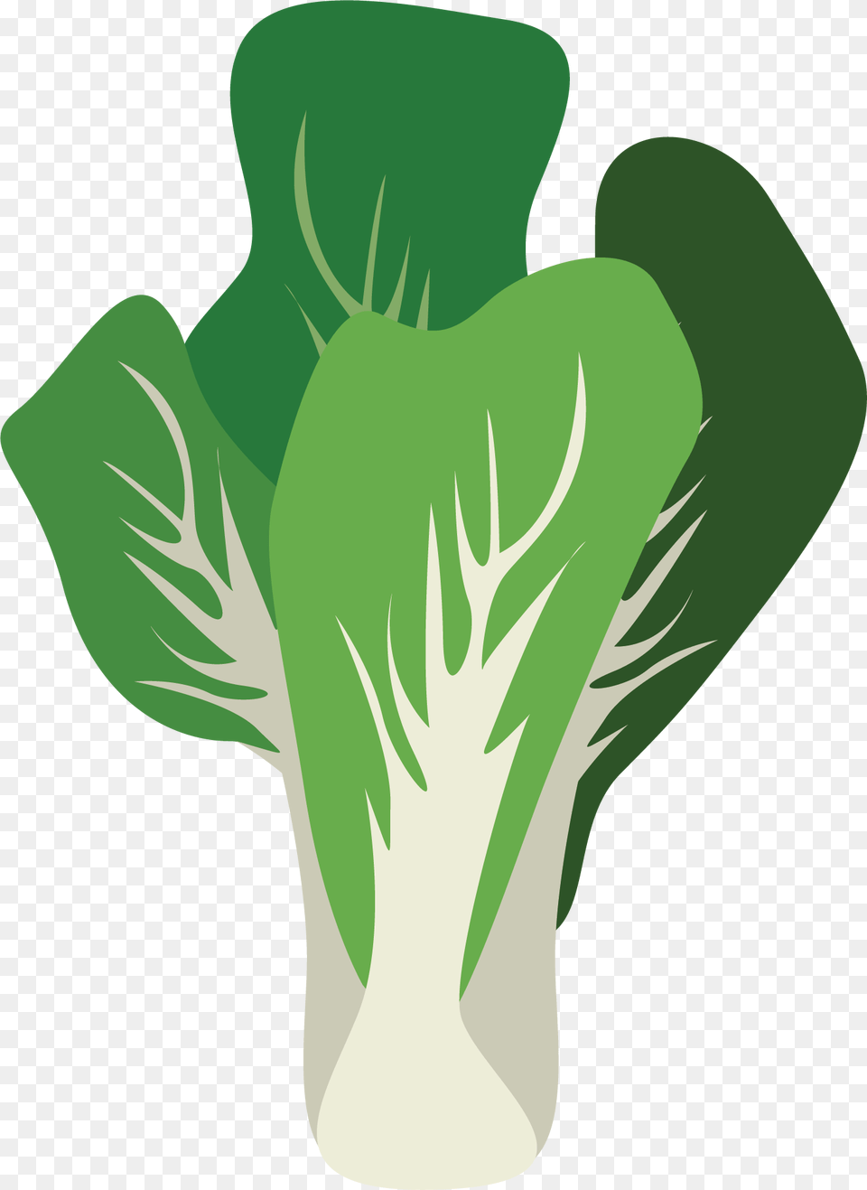Leaf Vegetable, Produce, Food, Leafy Green Vegetable, Plant Free Png Download