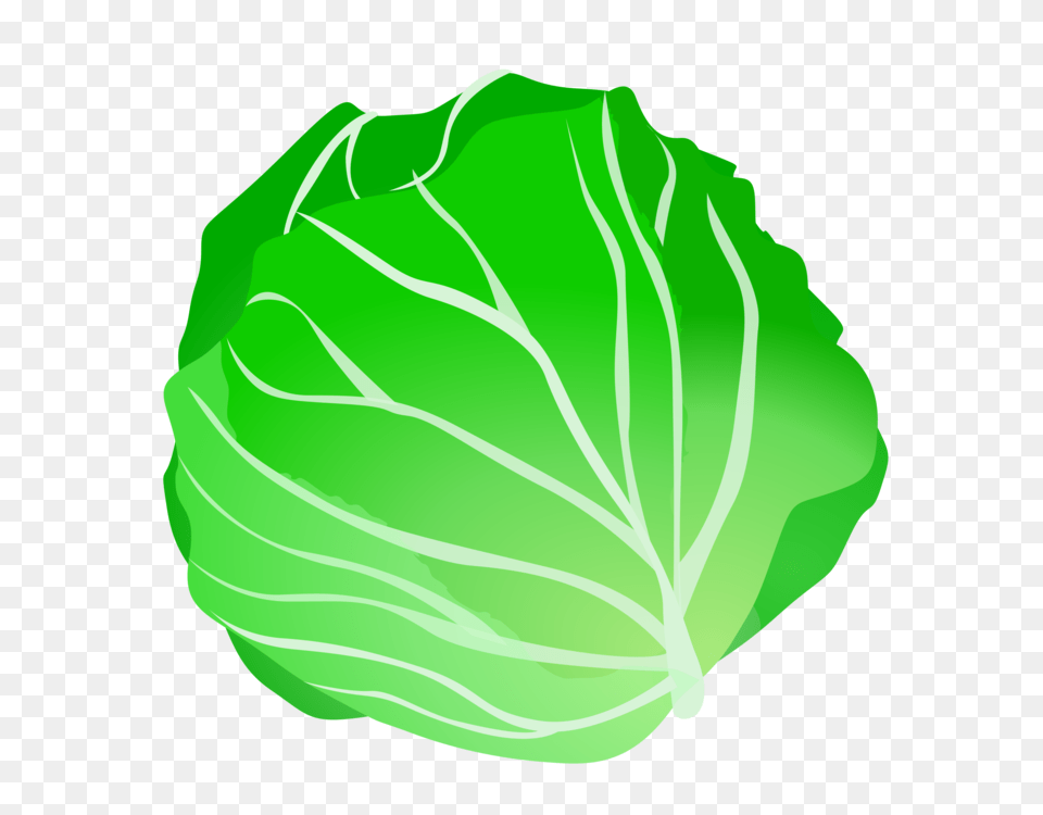 Leaf Vegetable Cabbage Iceberg Lettuce Fruit, Food, Leafy Green Vegetable, Plant, Produce Png