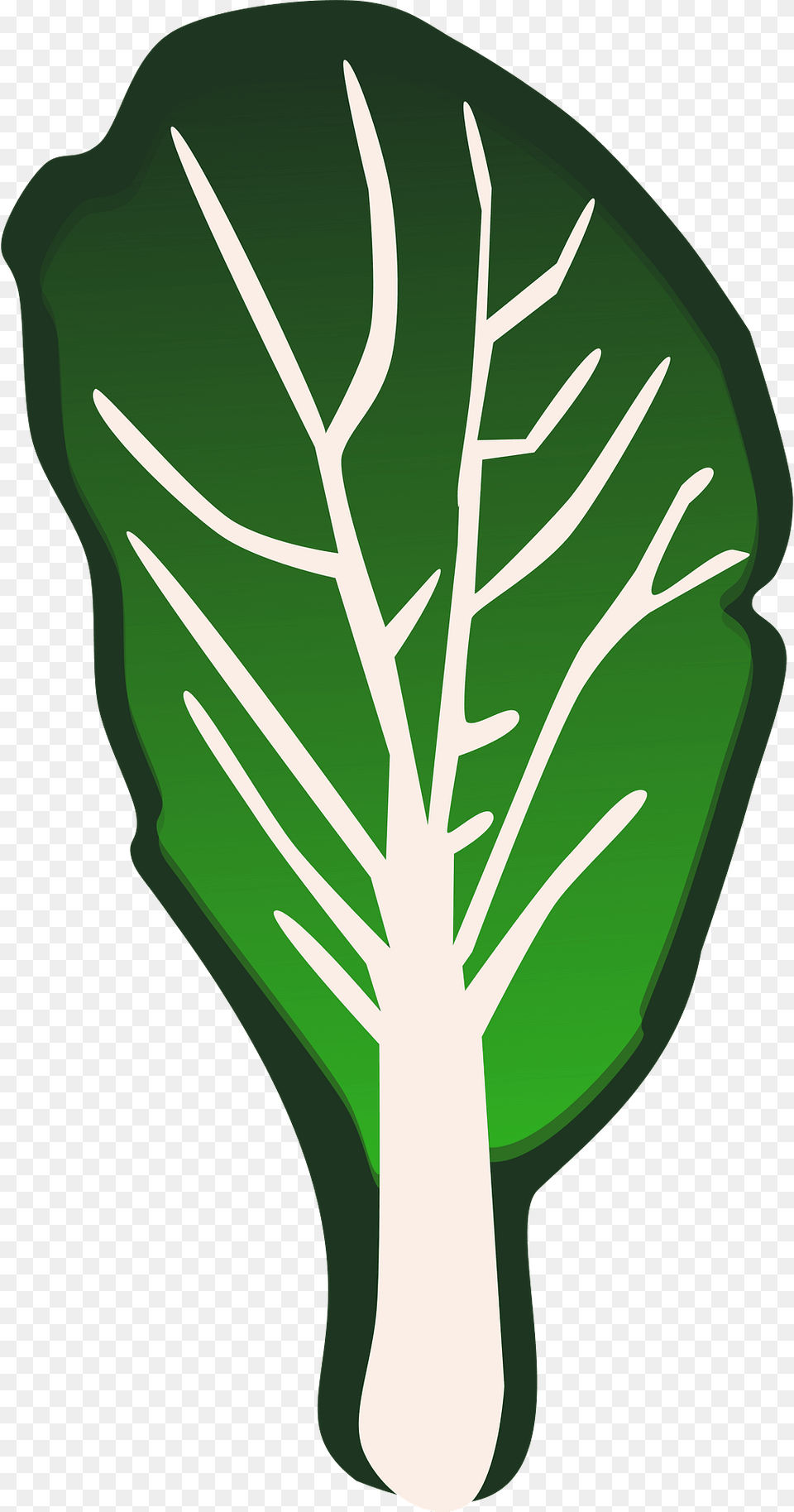 Leaf Vegetable Clipart, Food, Plant, Produce, Leafy Green Vegetable Free Transparent Png