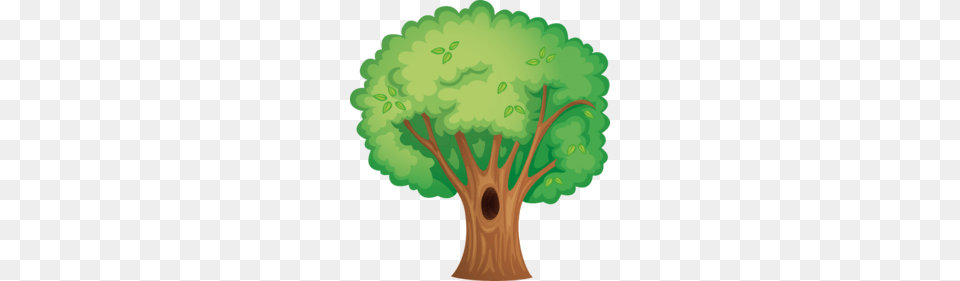 Leaf Vegetable Clipart, Plant, Tree Trunk, Tree, Sycamore Free Png Download
